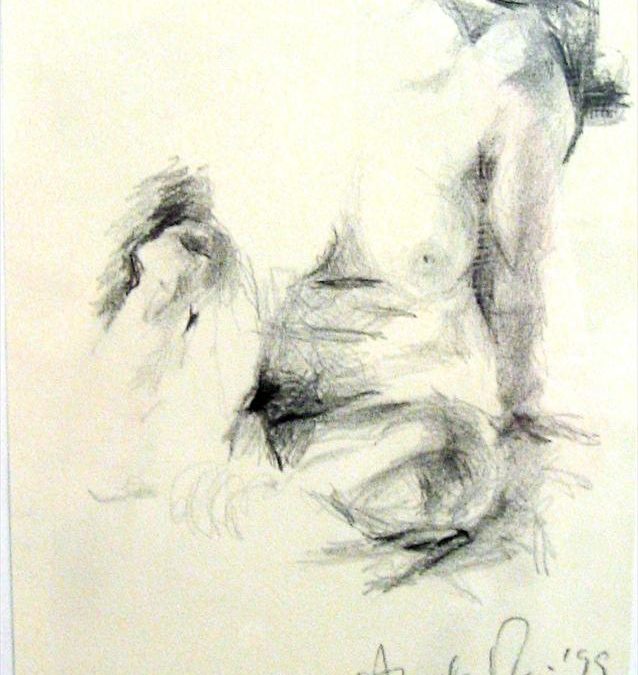 Galleria disegni