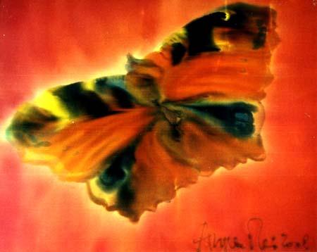 angela-rei-serie-farfalle-010