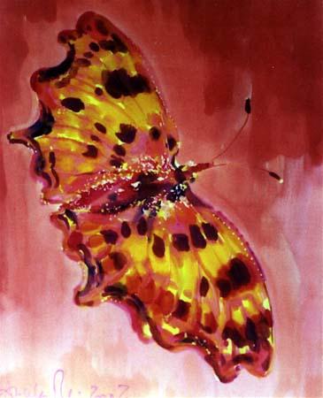 angela-rei-serie-farfalle-015